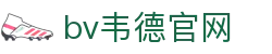 bevictor伟德官网·韦德官方网站